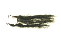 高蹺陣關公鬍鬚藏品圖，第1張