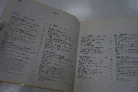 nuevos puentes new bridges藏品圖，第2張