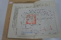 信義鄉吊橋新建工程契約書藏品圖，第2張