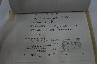 和平鄉裘安吊橋驗收證明書藏品圖，第8張