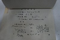 新社鄉天福吊橋驗收證明書藏品圖，第9張