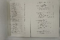 英文版吊橋製造書影印版藏品圖，第3張