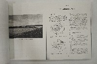 英文版吊橋製造書影印版藏品圖，第4張