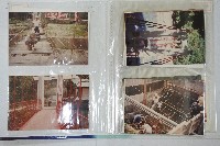 吊橋建造相關照片冊藏品圖，第13張