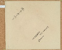 卷包單地字五十六號藏品圖，第1張