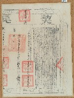 嘉慶八年張傳元立杜賣田契字（含契尾）藏品圖，第2張