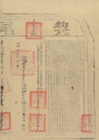 乾隆五十九年布字壹萬肆仟參佰壹拾伍號右給彰化縣業戶林厥德之契尾藏品圖，第1張