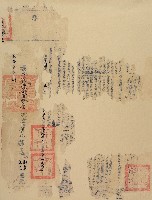 乾隆九年大眉虱履立賣契（含契尾）（殘破）藏品圖，第2張