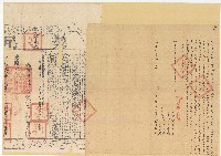 光緒八年林心婦立杜賣盡根田契字含契尾藏品圖，第1張