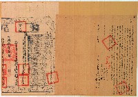 光緒八年林來泉等人立杜賣盡根田契含契尾藏品圖，第1張