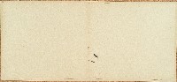 咸豐五年戴大和立退典番田字藏品圖，第2張