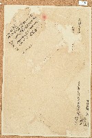 昌6592、6593號卷包單藏品圖，第1張