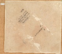 契包紙藏品圖，第2張