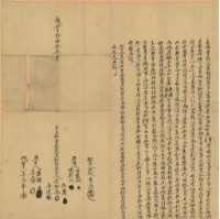 咸豐十一年李知高叔侄立杜賣找洗盡絕根契字藏品圖，第2張