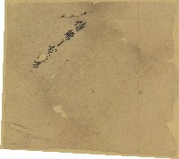 傅魁等契包紙藏品圖，第1張