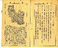和漢草名對照表藏品圖，第9張