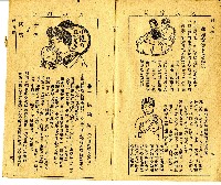 和漢草名對照表藏品圖，第10張