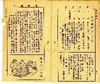 和漢草名對照表藏品圖，第14張