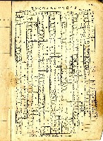 民國六十四年岡山電信局新舊電話號碼對照表藏品圖，第19張