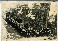 臺南女中阿里山旅行合照藏品圖，第1張