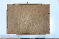 聯合報林枝木相關報導剪報藏品圖，第4張