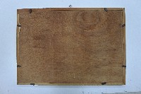 聯合報林枝木相關報導剪報藏品圖，第3張