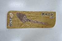 臺灣文物紀念竹製書籤藏品圖，第1張