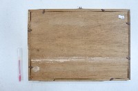 民國七十三年林枝木南投縣警察局義勇警察大隊草屯中隊顧問聘書藏品圖，第2張