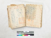 苗栗縣公館鄉公所戶籍動態卷藏品圖，第2張