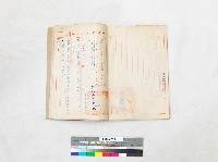 苗栗縣公館鄉公所更改姓名卷藏品圖，第2張