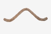 牛擔藏品圖，第1張