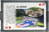 高雄市旅遊導覽撲克牌藏品圖，第2張