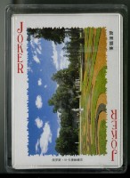 歐洲園林撲克牌藏品圖，第4張