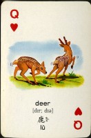 遠東英漢字典動物篇1撲克牌藏品圖，第4張