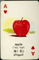 遠東英漢字典植物篇撲克牌藏品圖，第4張