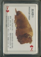 企鵝圖書有限公司動物圖鑑撲克牌藏品圖，第2張