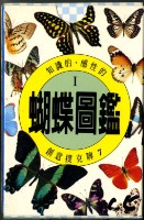 蝴蝶圖鑑撲克牌藏品圖，第1張