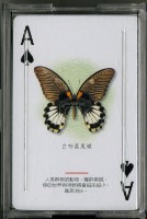 蝴蝶主題撲克牌藏品圖，第2張