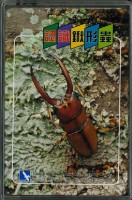 南路鷹工作室認識鍬形蟲撲克牌藏品圖，第3張