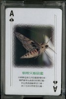 花蓮林區管理處全民防火撲克牌藏品圖，第2張