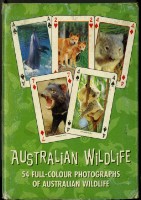 澳洲野生動物英文字樣撲克牌藏品圖，第2張