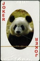 大熊猫撲克牌藏品圖，第4張
