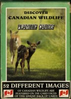 發現加拿大的野生動物英文字樣撲克牌藏品圖，第2張
