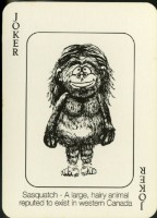 發現加拿大的野生動物英文字樣撲克牌藏品圖，第4張