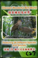 探索精彩鳥世界撲克牌藏品圖，第1張