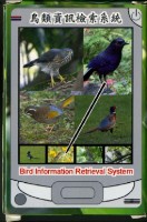 探索精彩鳥世界撲克牌藏品圖，第2張