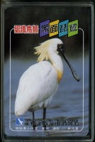 南路鷹工作室發行認識鳥類之黑面琵鷺撲克牌藏品圖，第3張