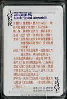 南路鷹工作室發行認識鳥類之黑面琵鷺撲克牌藏品圖，第4張