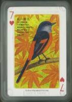 福爾摩沙野鳥紀行撲克牌藏品圖，第2張