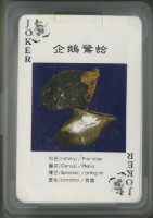 良泓實業股份有限公司貝殼撲克牌藏品圖，第2張
